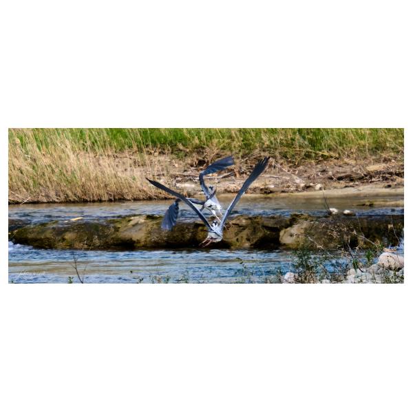 PHOTO84, CLUB, 84 , LUBERON